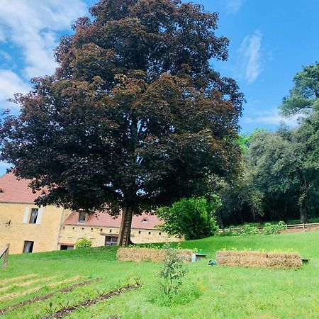 L'Ecrin Des Symes Villa Simeyrols Kültér fotó
