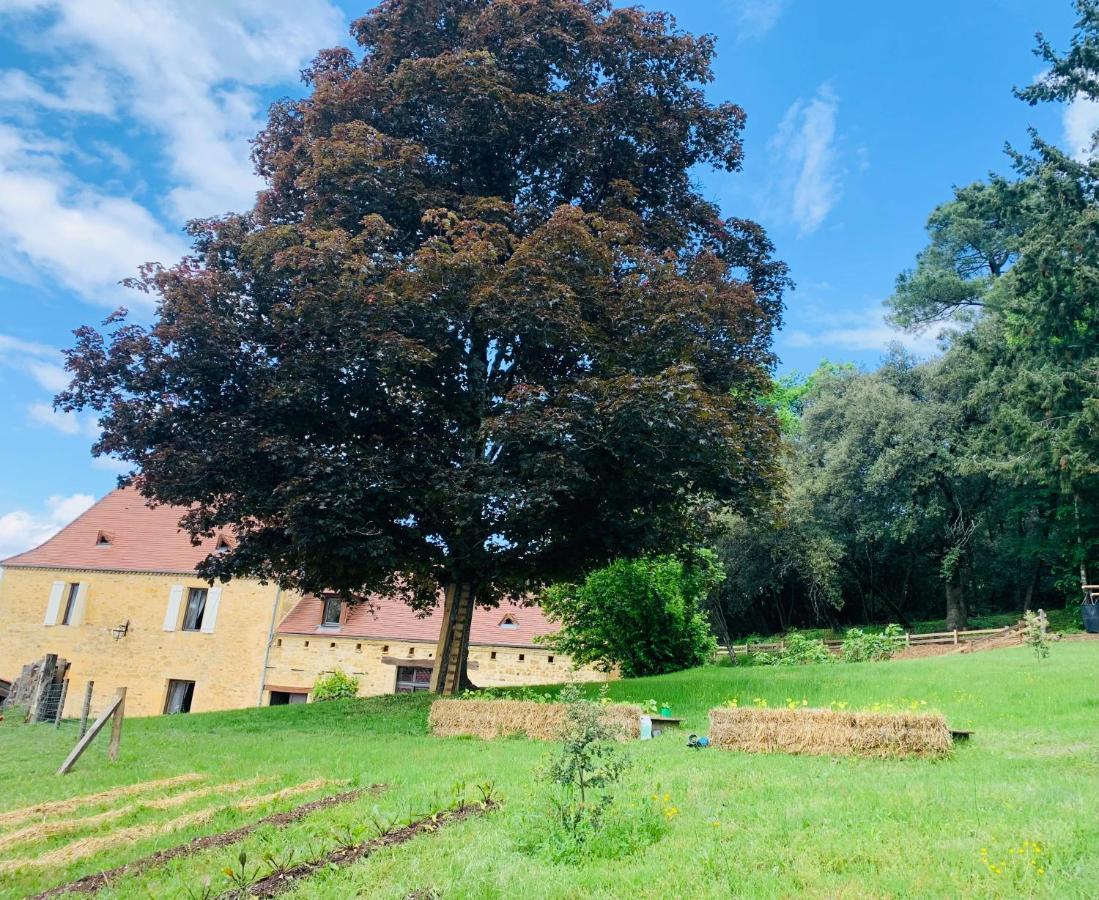 L'Ecrin Des Symes Villa Simeyrols Kültér fotó